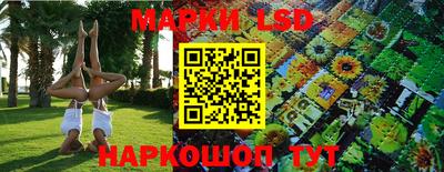 гидропоника Ярцево