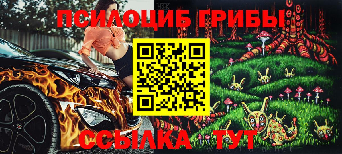 Галлюциногенные грибы Psilocybine cubensis Кировск
