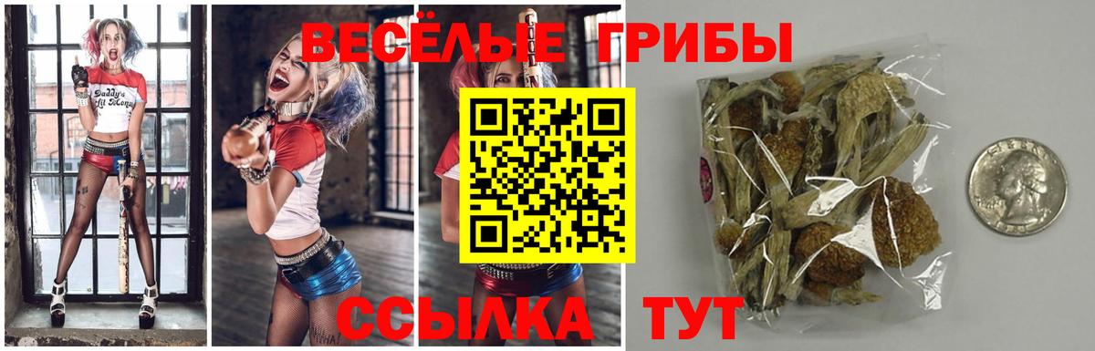 Галлюциногенные грибы прущие грибы  Вход с VPN  Кировск  Псилоцибиновые грибы ЛСД 